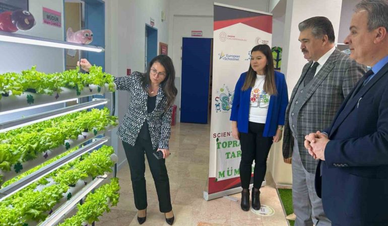 Anaokulunda topraksız tarım, ilk hasat yapıldı