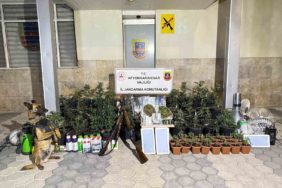 afyonkarahisarda-jandarmadan-uyusturucu-operasyonu-ZjbynDCt.jpg
