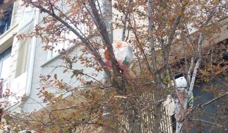 Ağaç dalları çöp açtı