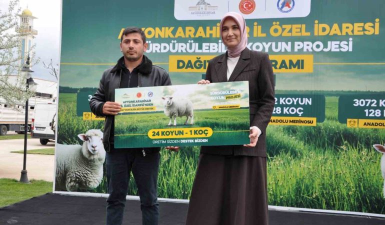 İl genelindeki 127 yetiştiriciye 3 bin 72 koyun ve 128 koç teslim edildi