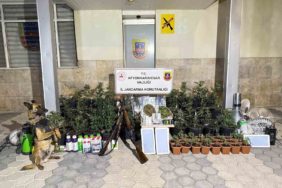 kenevir-yetistiren-sahislar-esrar-ve-uyusturucu-haplarla-yakalandi-DsXMePgR.jpg