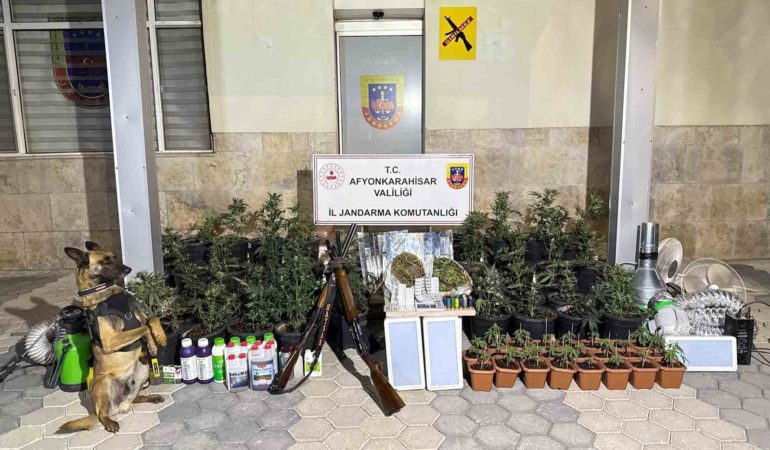 Kenevir yetiştiren şahıslar esrar ve uyuşturucu haplarla yakalandı