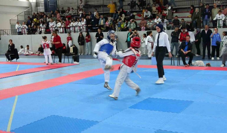 Kütahya’da Minikler Taekwondo Yarışmaları ilgi gördü