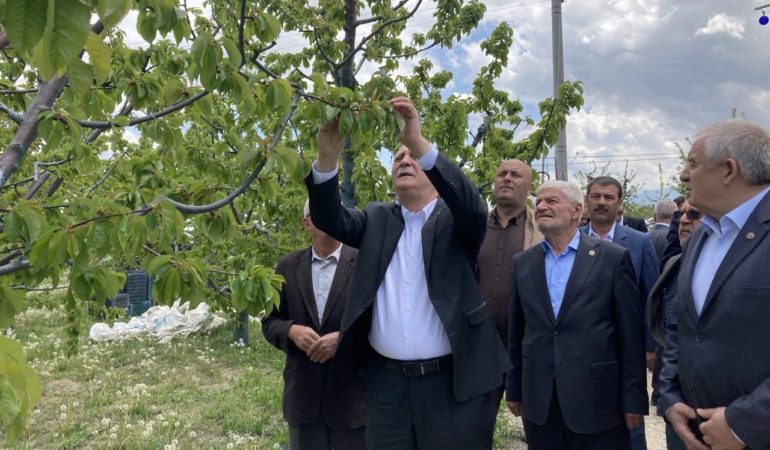 TZOB Genel Başkanı Şemsi Bayraktar: “3 gün süren don olayı maalesef ürünlerimizi ve üreticimizi perişan etti”